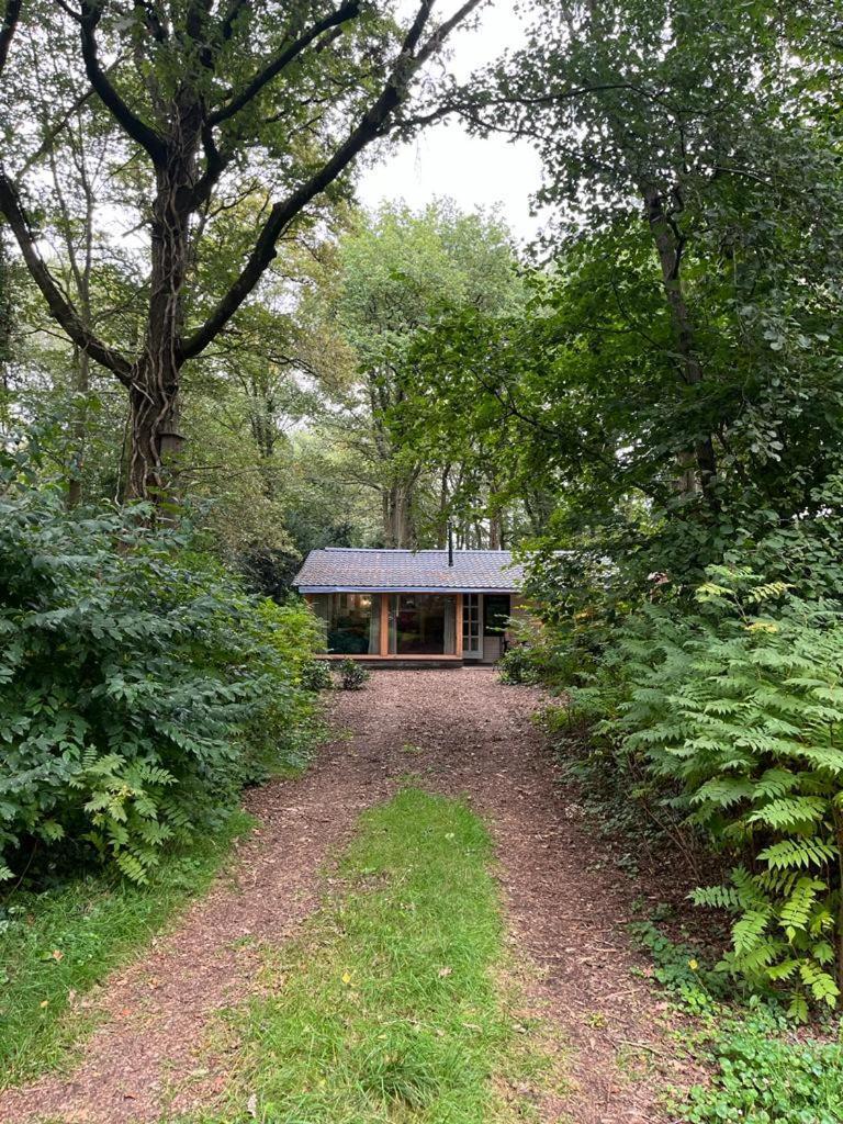 Huisje In Het Bos Зейдларен Екстер'єр фото